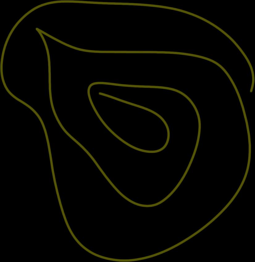 Grade 1 Arabica coffee from Yirgacheffe Ethiopia